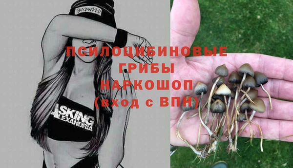 амф Абаза