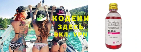 шишки Алексин