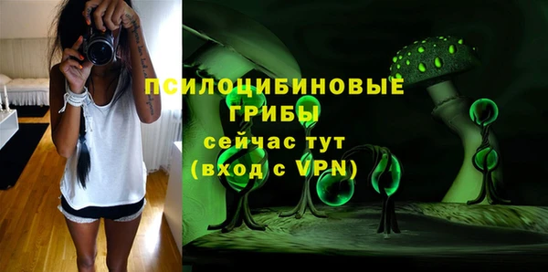 СК Алексеевка