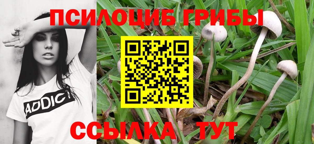 Псилоцибиновые грибы ЛСД Симферополь