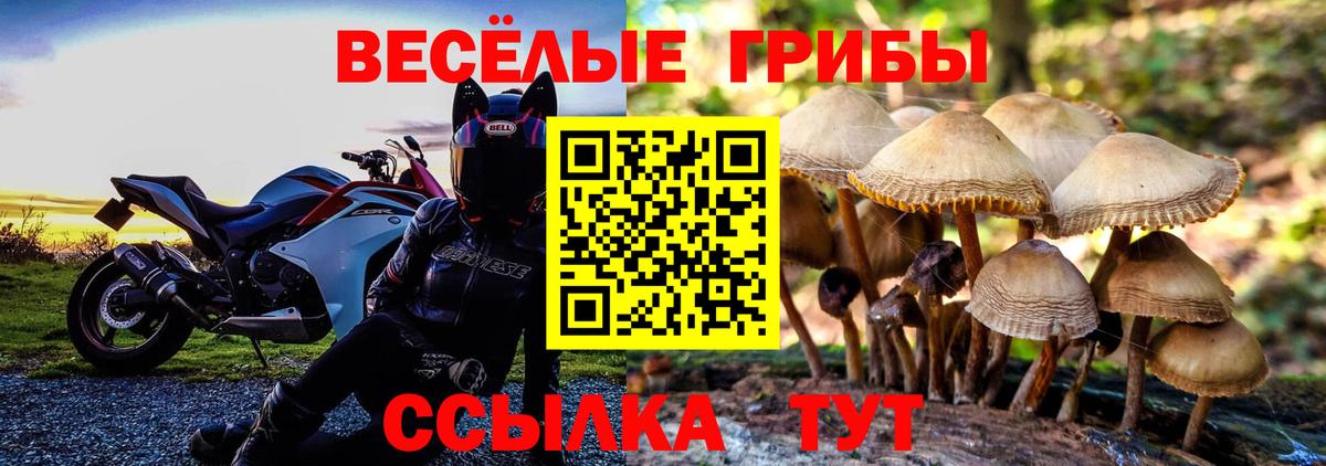 Псилоцибиновые грибы прущие грибы  Галлюциногенные грибы прущие грибы  Вход с VPN  Симферополь 