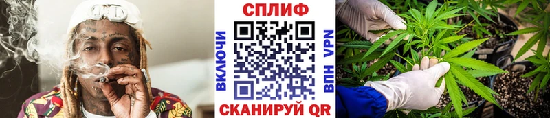 Бошки марихуана White Widow где можно купить наркотик Симферополь
